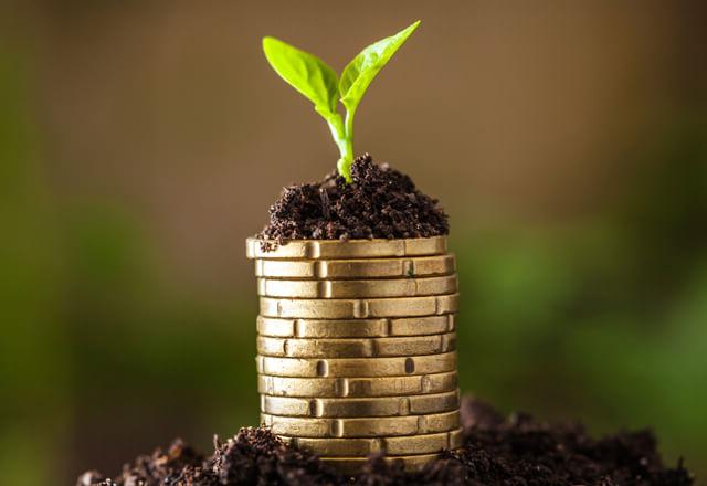 Coins with a leaf growing out